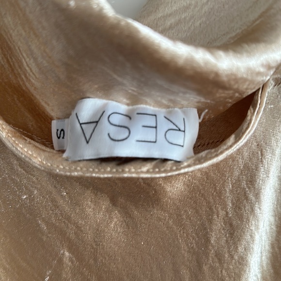 Champagne Dress - Picture 5 of 5